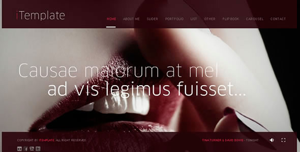 plantilla-gratis-web-flash